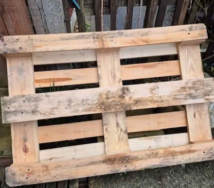 Photo of free Pallet (Harold Hill RM3) #2