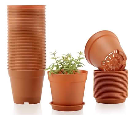 Photo of Seed growing equipment/heat mat (Newry BT35) #4