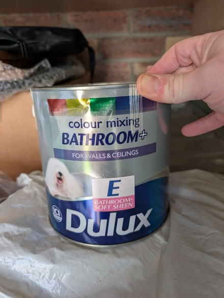 Photo of free Various paint (Duddingston, EH8) #3