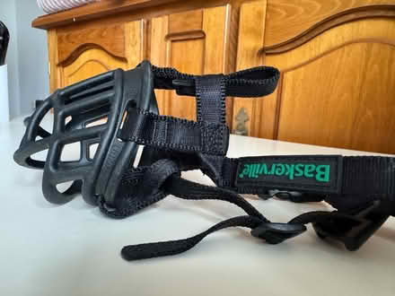 Photo of free Baskerville small dog muzzle (Dawlish Devon EX7) #1