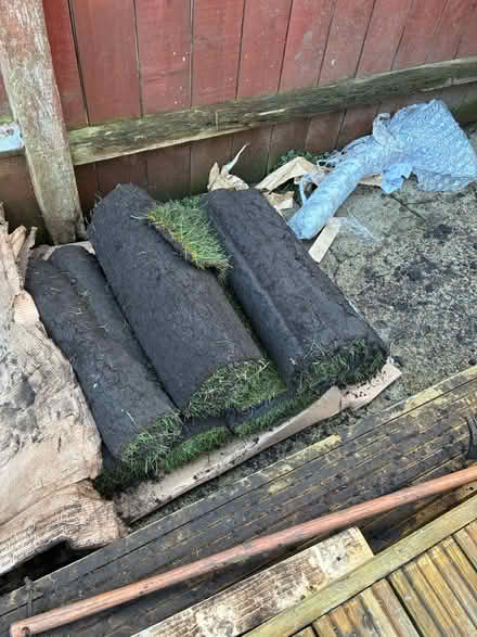 Photo of free Freshly delivered turf (SE10) #1