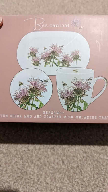 Photo of free Fine china mug and coaster and tray (Queens Park MK40) #3