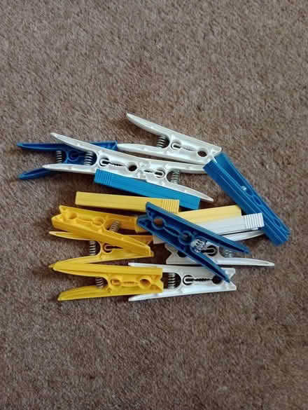 Photo of free Clothes Pegs (Fareham PO15) #1