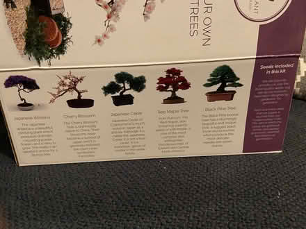 Photo of free Bonsai tree kit (Alcester Lanes End B14) #3