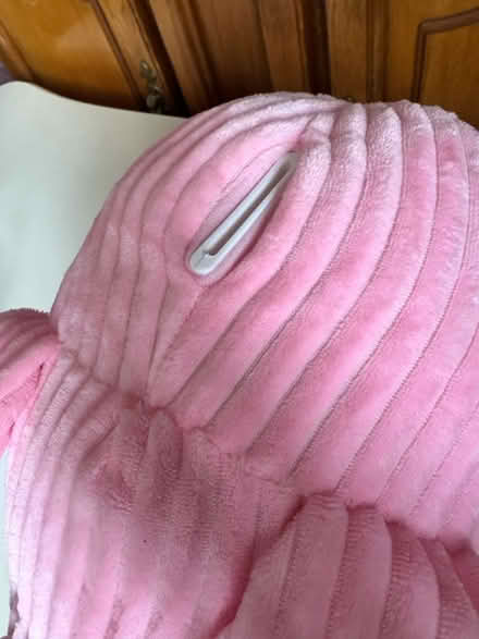 Photo of free Large pig money box (Dawlish Devon EX7) #2