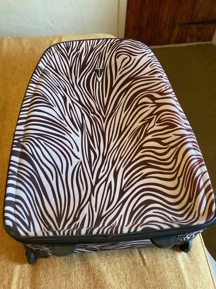 Photo of free Large suitcase (Bampton CA10) #1