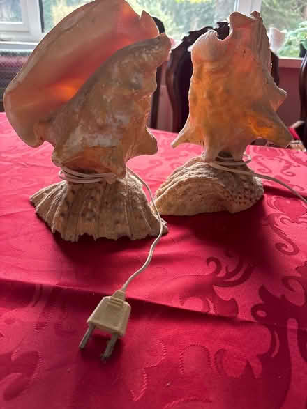 Photo of free Sea shell lamp pair (Blackrock) #2