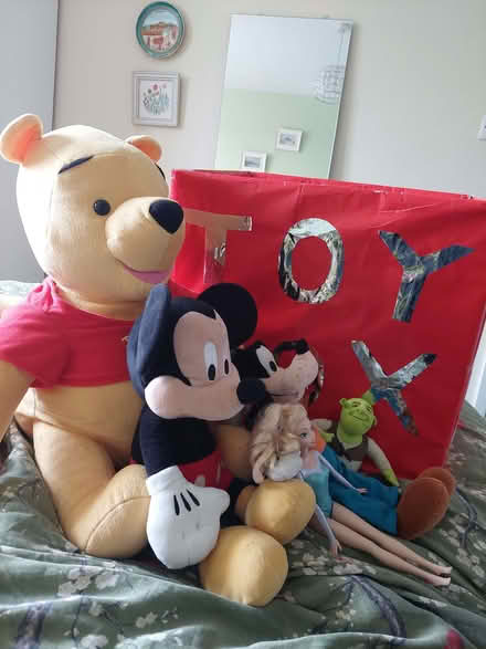 Photo of free Cardboard toybox with toys (Little Heath RG31) #1