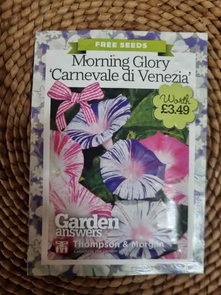 Photo of free Morning glory seeds (Abingdon Oxfordshire OX14) #1