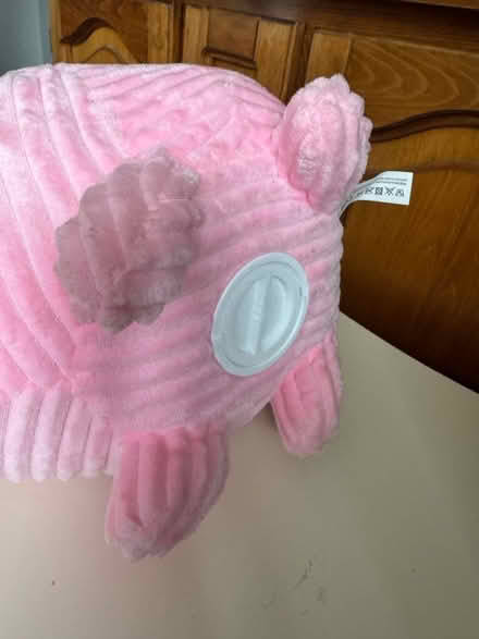 Photo of free Large pig money box (Dawlish Devon EX7) #3