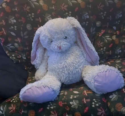 Photo of free Large white bunny (Peachcroft OX14) #1