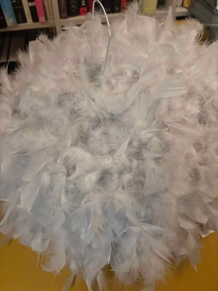 Photo of free Feathered light shade (Wimbledon SW19) #1