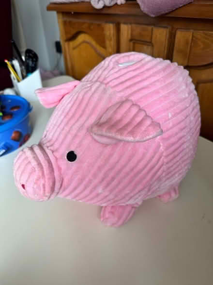 Photo of free Large pig money box (Dawlish Devon EX7) #1