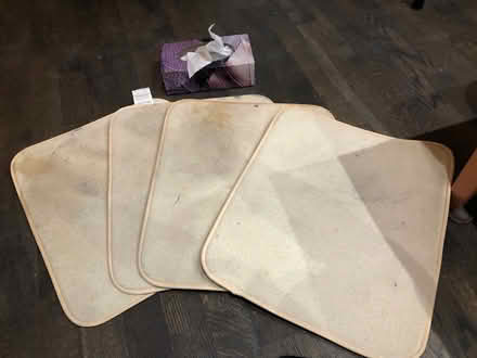 Photo of free Large drying mats (Midtown Toronto) #1