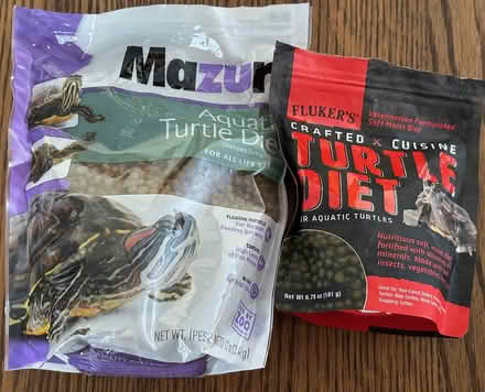 Photo of free Turtle Food & Cleaner (Port Murray, NJ) #3