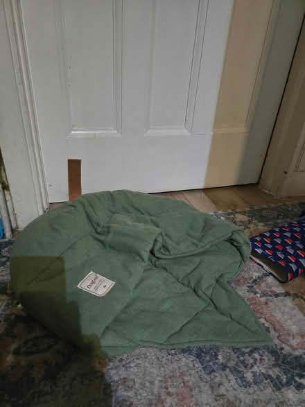 Photo of free Cat bed (Carshalton) #1