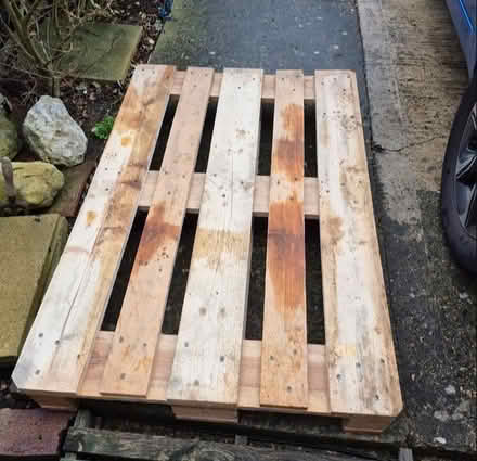 Photo of free Pallet (Harold Hill RM3) #1