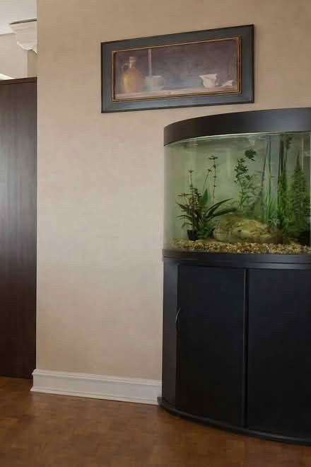 Photo of free 35 Gallon Corner Aquarium and Stand (Capitol Hill) #1
