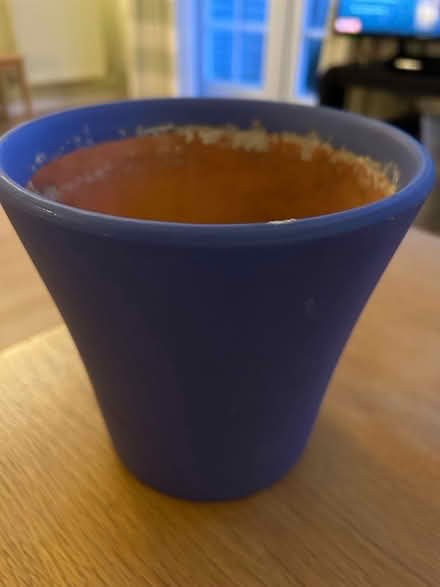Photo of free Purple terracotta pot (Barkham RG41) #1