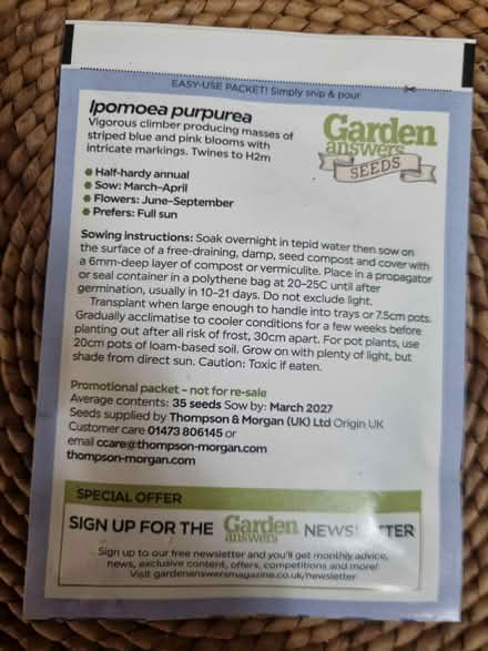 Photo of free Morning glory seeds (Abingdon Oxfordshire OX14) #2