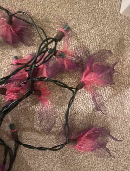 Photo of free Fairy lights (Herne Hill, SE24) #4