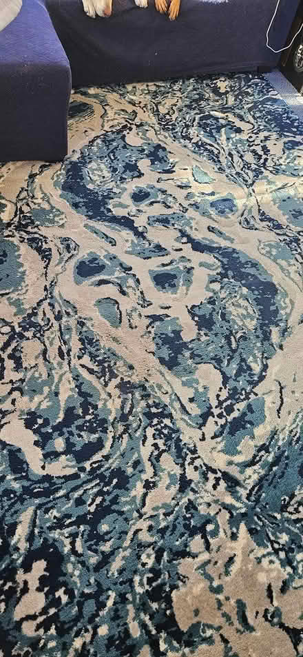 Photo of free 6x9 area rug (downtown) #1