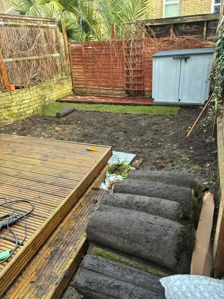 Photo of free Freshly delivered turf (SE10) #2
