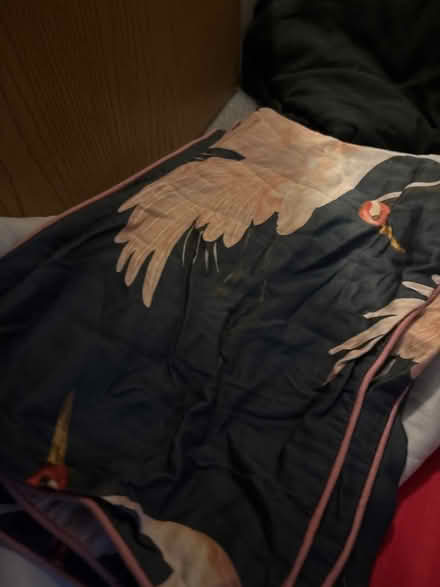 Photo of free Bedroom sets (Wimbledon SW19) #4