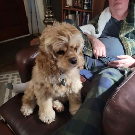 Photo of Nail clipping (Haller Lake neighborhood) #1