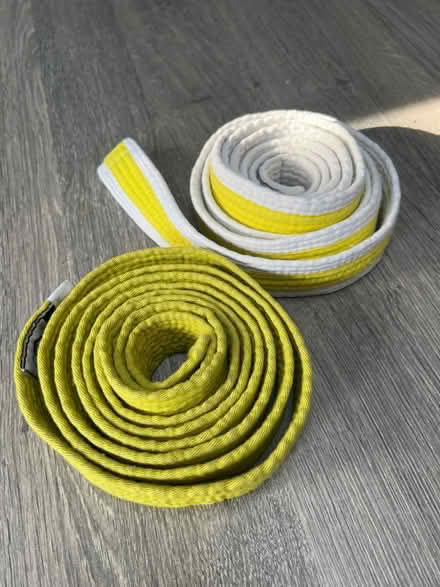 Photo of free 2 Martial Arts belts (Southsea PO4) #1