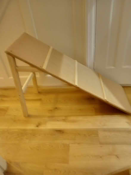 Photo of free Pet Ramp (Sunbury on Thames TW16) #1