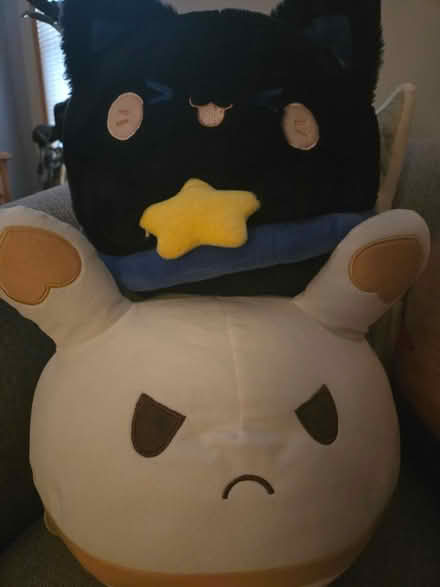 Photo of free Stuffed Animals (Downtown Madison) #1