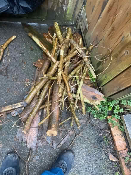 Photo of free Fire wood (Nottingham NG5) #1