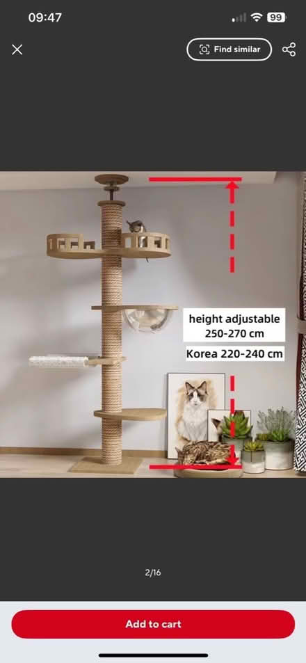 Photo of free Cat Tree (Greenwich SE8) #1