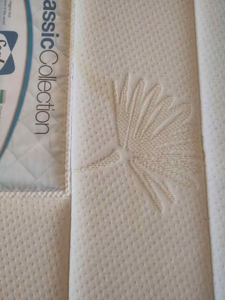 Photo of free King size Sealy mattress (Bristol BS3) #4