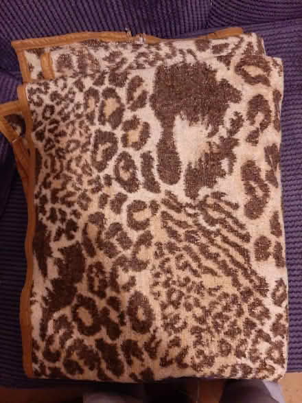 Photo of free Blanket (Milton Ernest) #1