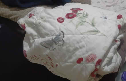 Photo of free kingsize quilted bed cover (Lewisham SE13) #1