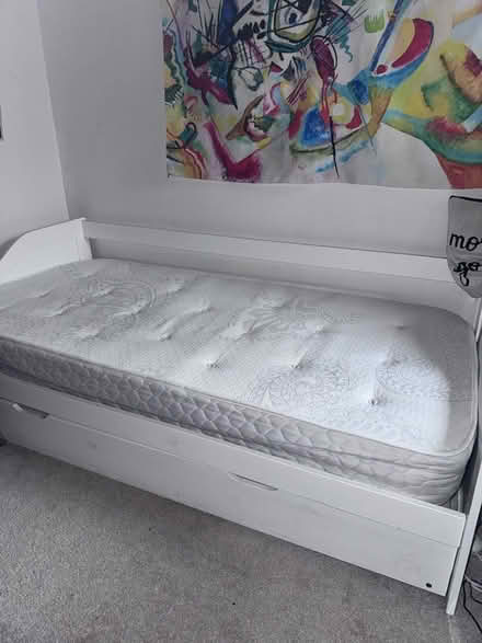 Photo of free Single day bed with trundle and 2 mattresses (Bernards Heath AL1) #1