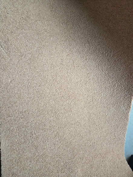 Photo of free Carpet offcut (Potton SG19) #3