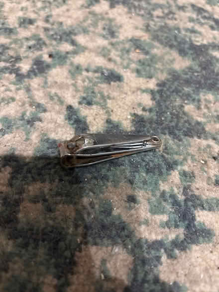 Photo of free Toenail clippers (North shields NE30) #1