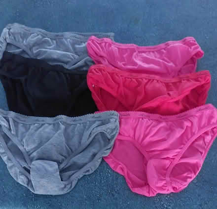 Photo of free 6 ladies underwear/briefs (Beaches, Toronto) #1