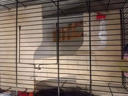 Photo of free Used Clean Pet Cage And New Bottle (Buttershaw BD6) #4