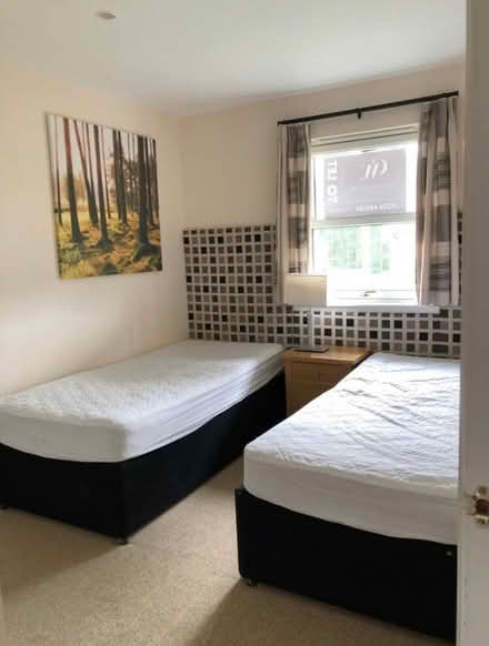 Photo of free 2 Single Twin Beds (Banchory AB31) #2