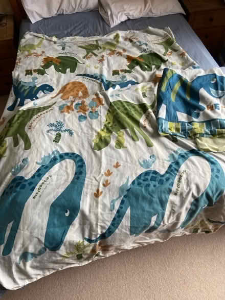 Photo of free Kids bed set with dinosaurs (Amersham Common HP7) #1