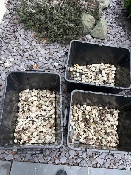Photo of free Garden stones (Bromley common, BR2) #1