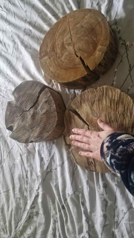 Photo of free Wooden blocks (Kirk Hallam DE7) #2