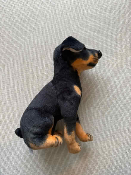 Photo of free Soft toy dog (Kingston KT5 8) #1