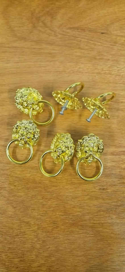 Photo of free 6 gold lion drawer knobs/handles (Chichester PO19) #1