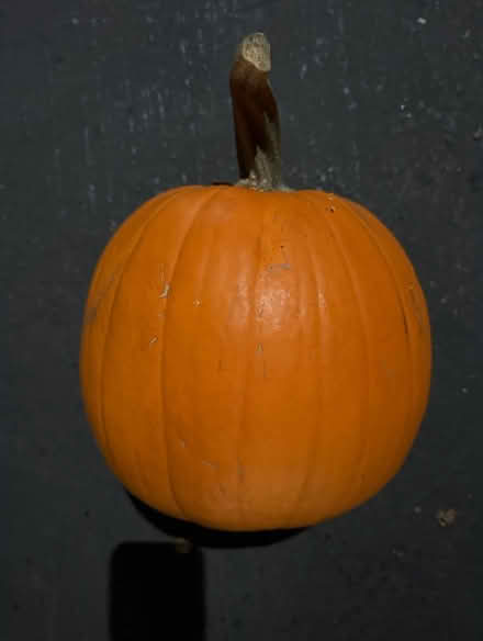 Photo of free Fresh pumpkin-Saltine crackers-Coke (Valencia Avenue, Sunnyvale) #1