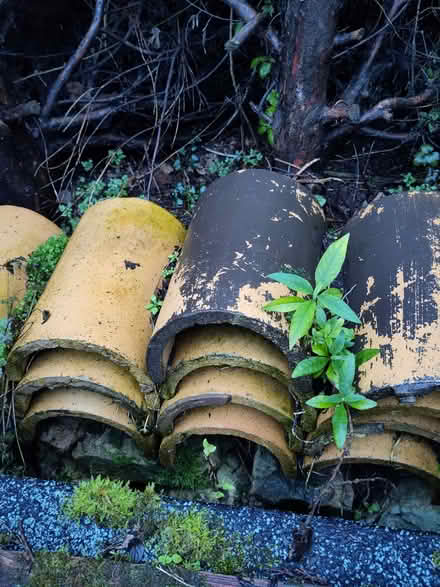 Photo of free Old roof ridge tiles (Pant SY10) #1